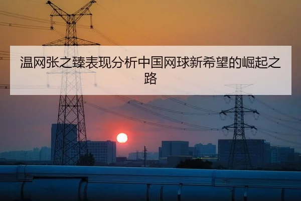 温网张之臻表现分析中国网球新希望的崛起之路